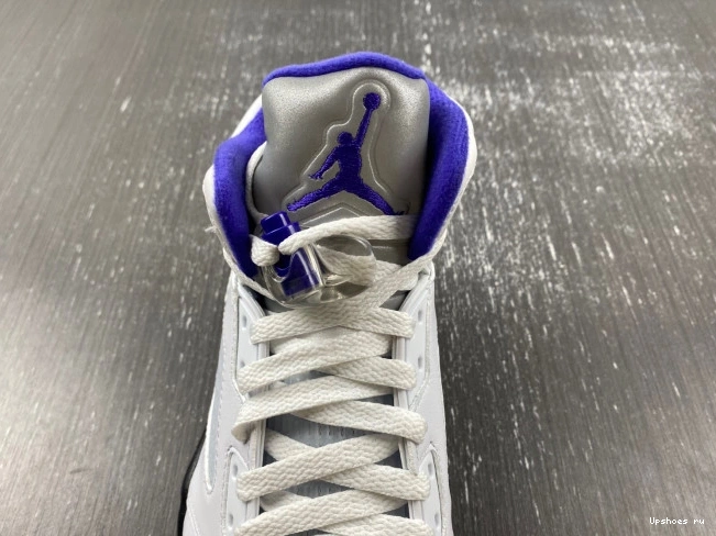 5  DD0587-141 Jordan Retro Dark Concord 0808